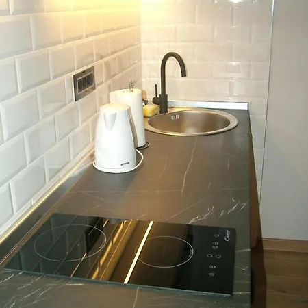 Apartment Rose Lux *