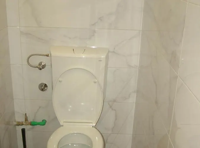 Rose Lux * بلغراد